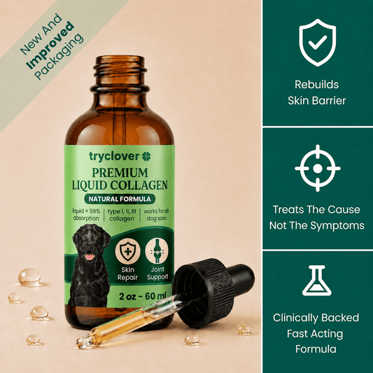 TryClover Premium Liquid Collagen